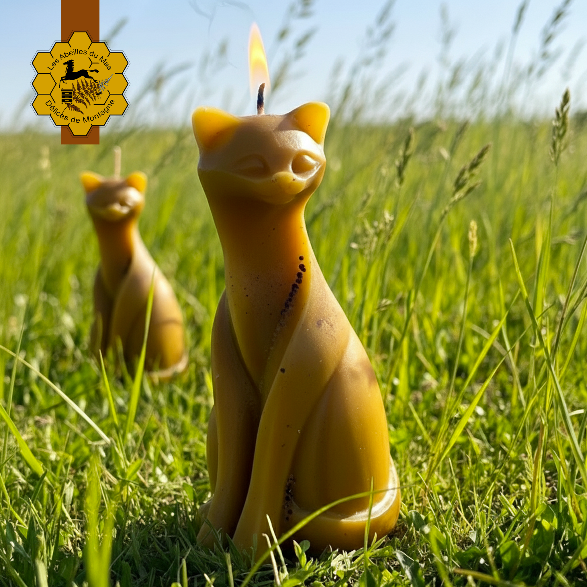 Bougie Miel Chat