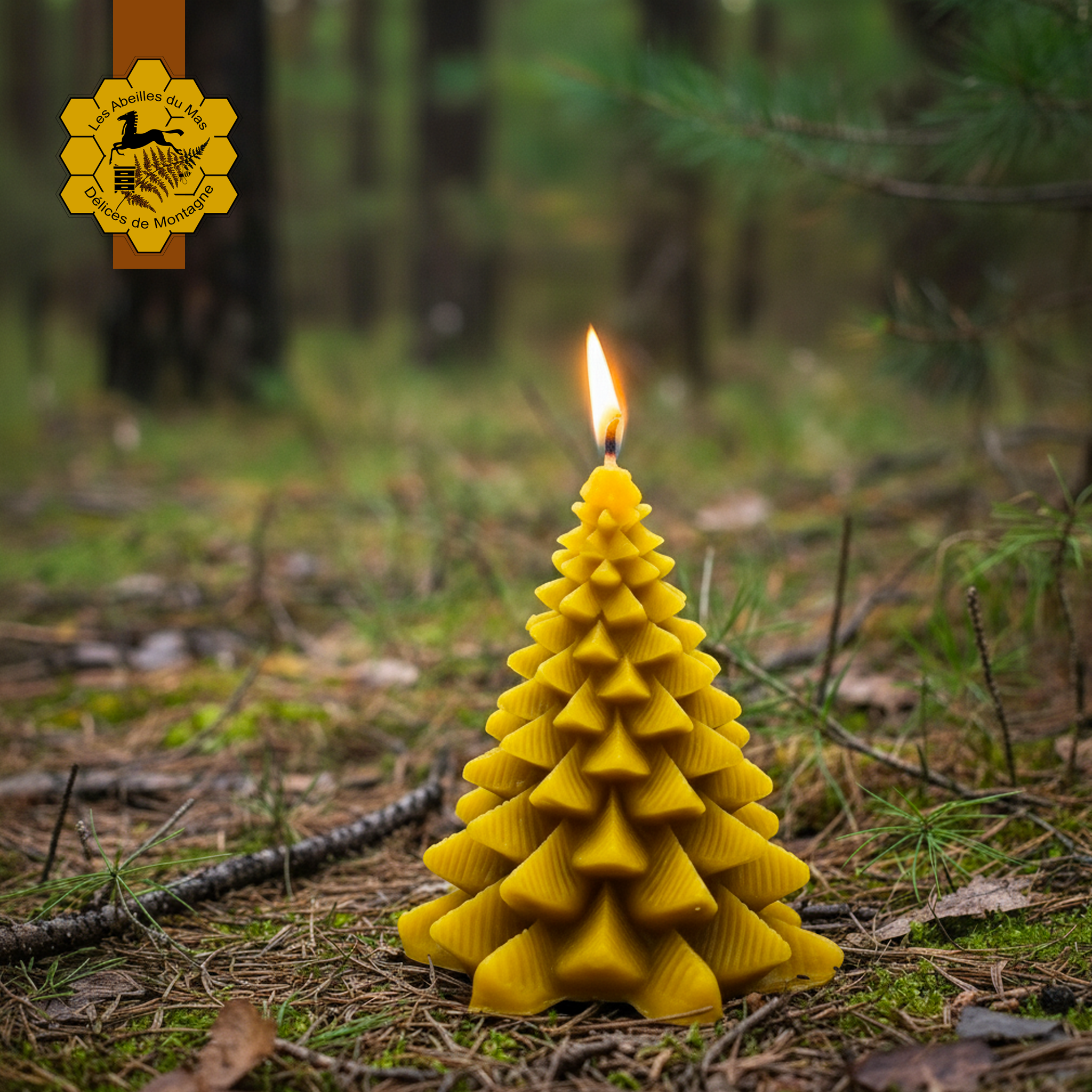 Bougie Miel Sapin Moyen