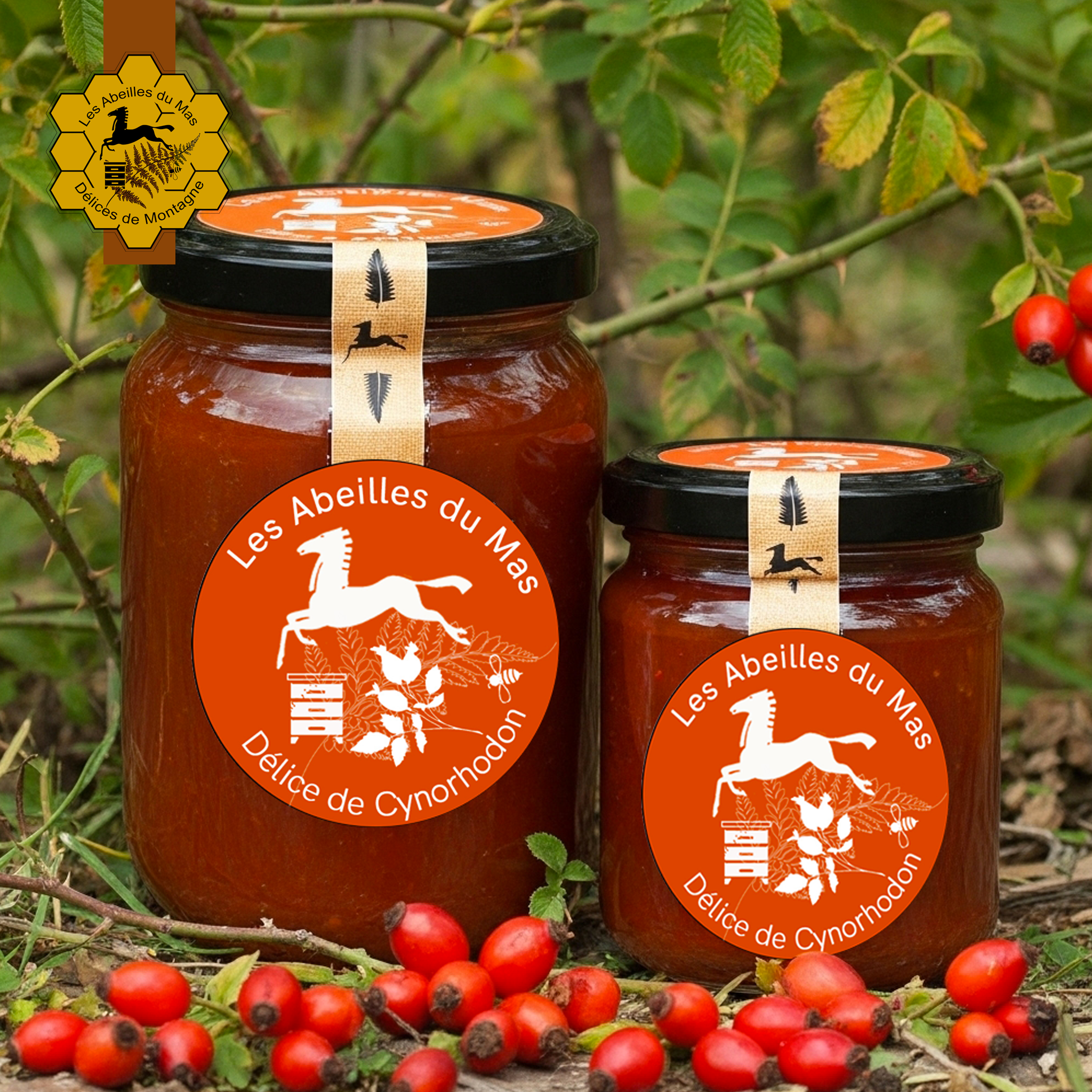 Délice de Cynhorodon