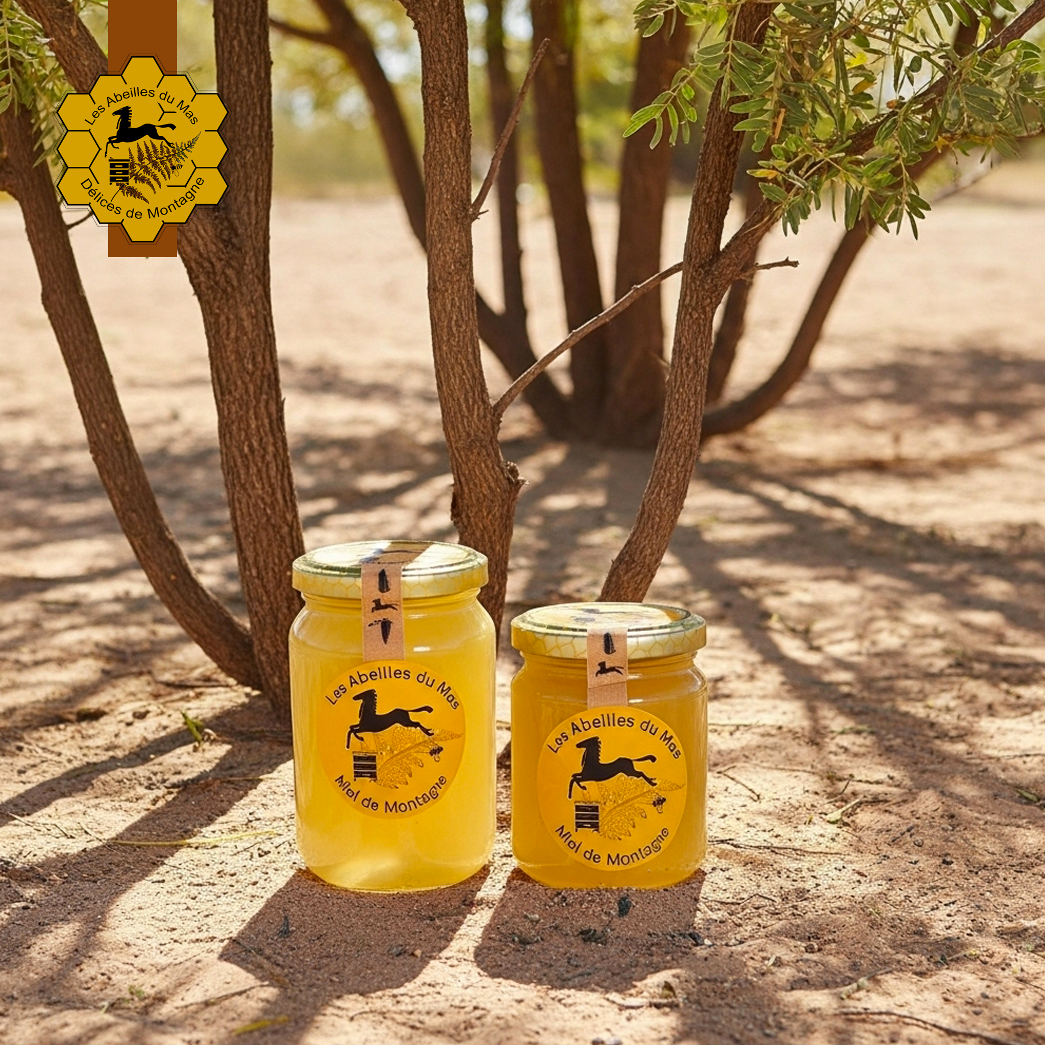 Miel d'Acacia - Vesce