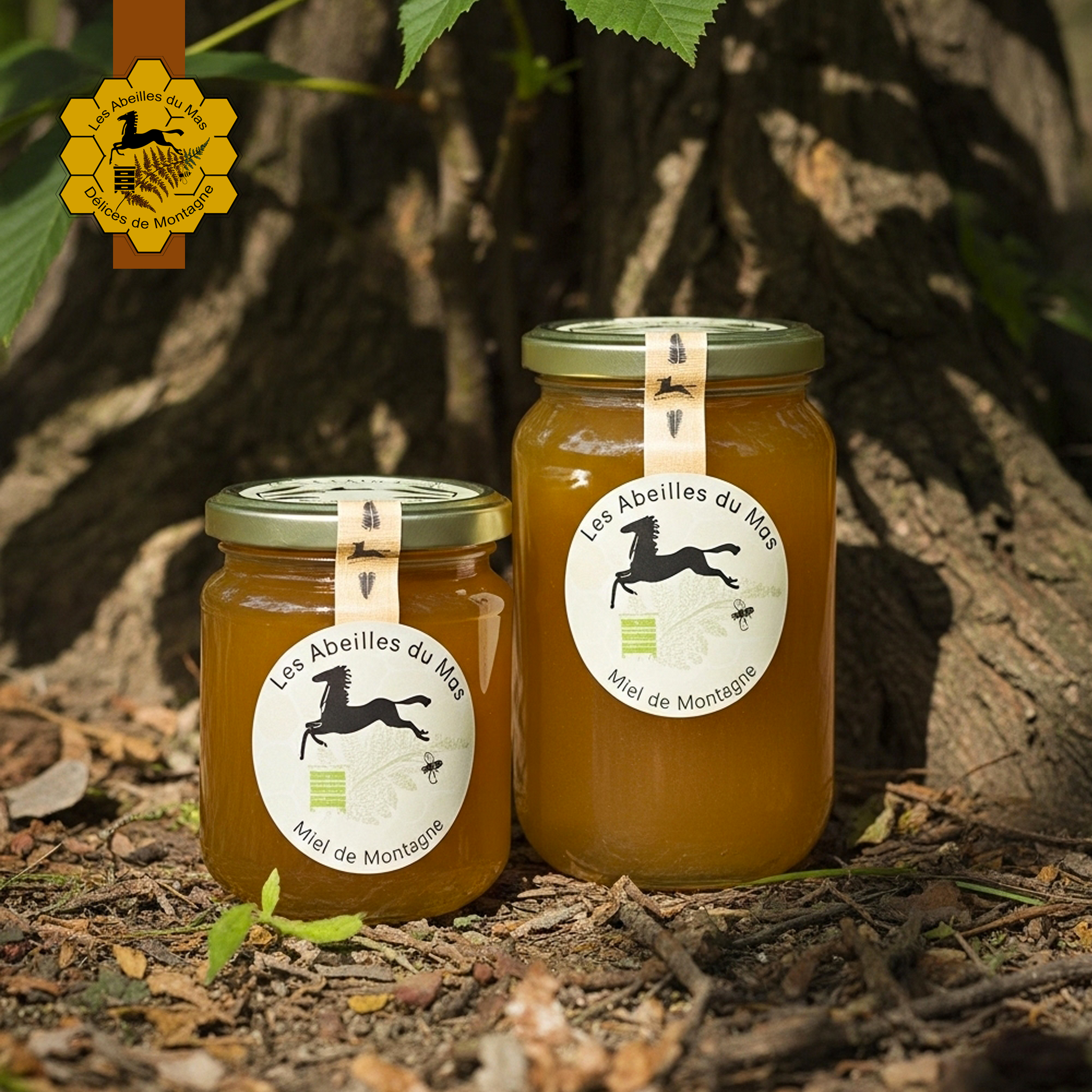 Miel de Châtaignier