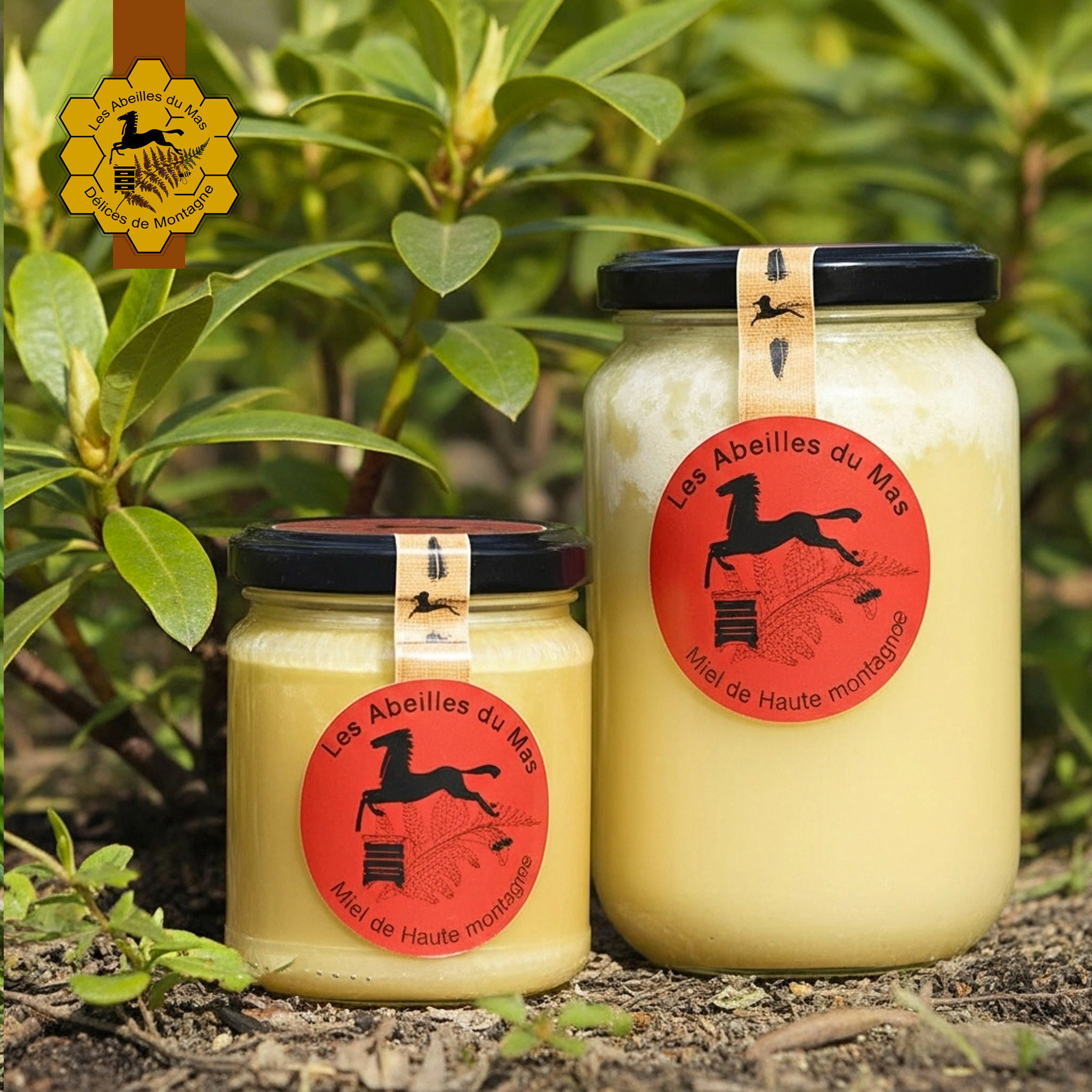 Miel de Rhododendron